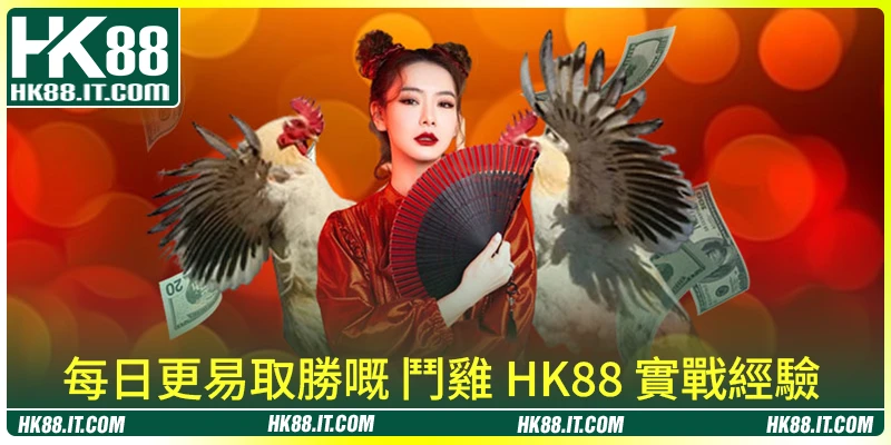 每日更易取勝嘅 鬥雞 HK88 實戰經驗