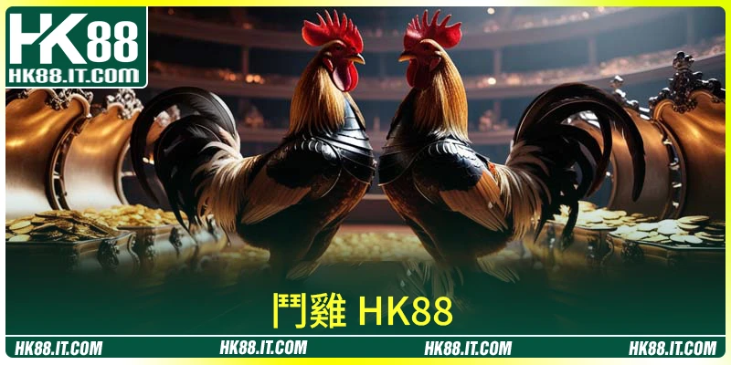 鬥雞 HK88 最令人印象深刻的玩法 TOP